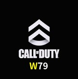  W79