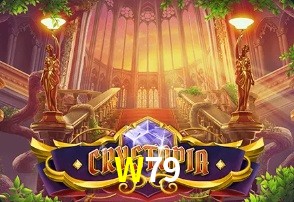  W79