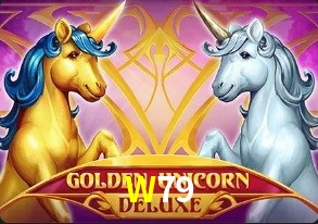  W79