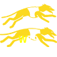  W79